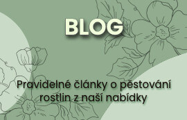 Blog Rostlinky.cz