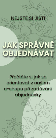 Jak správně objednat?