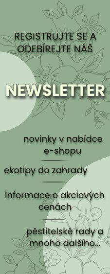 Registrace pro odběr newslettru